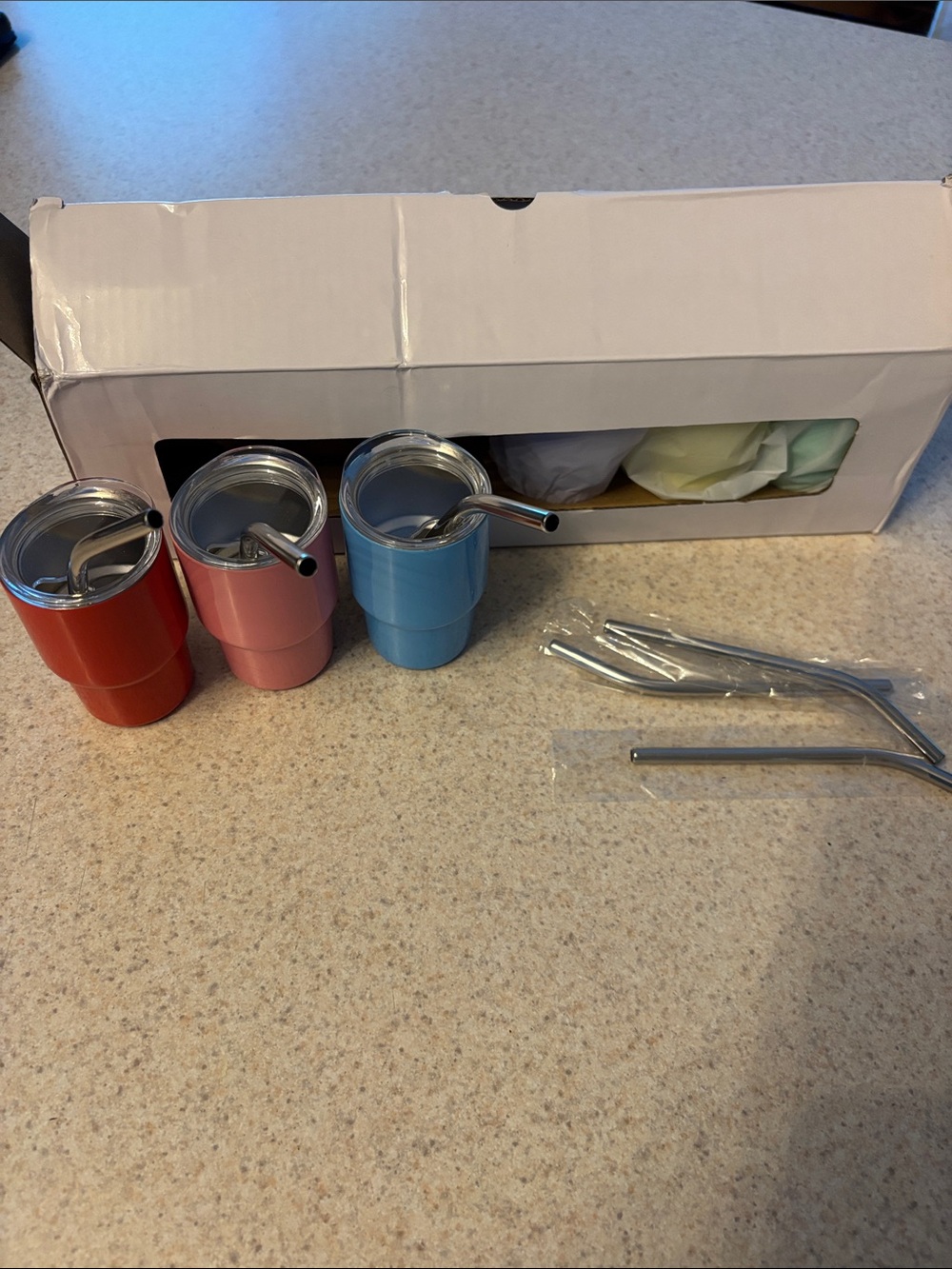Set of 6 Mini Insulated Tumblers with Metal Straws -